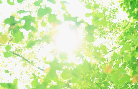 脳卒中後のリハビリも姿勢と動きの研究所まで